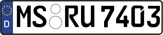 MS-RU7403