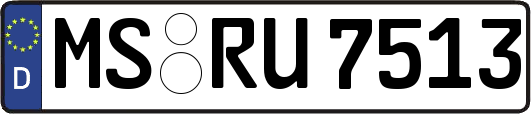 MS-RU7513