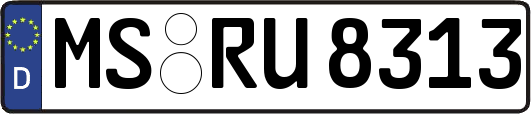 MS-RU8313