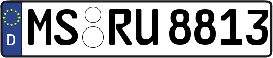 MS-RU8813