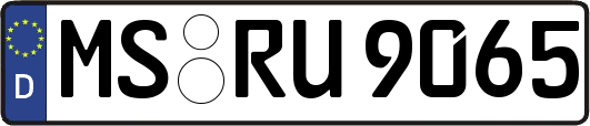 MS-RU9065