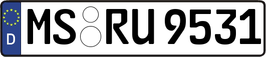MS-RU9531