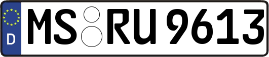 MS-RU9613