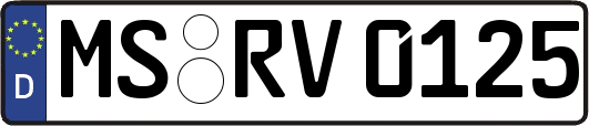 MS-RV0125