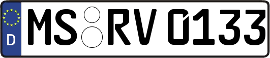 MS-RV0133