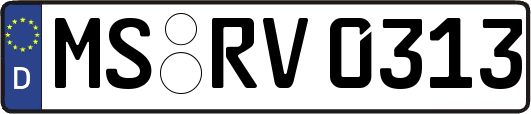 MS-RV0313