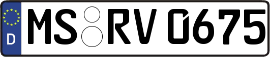 MS-RV0675