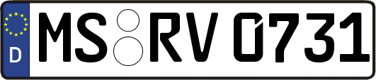 MS-RV0731
