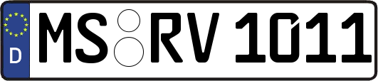 MS-RV1011