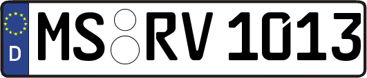 MS-RV1013