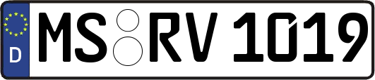 MS-RV1019