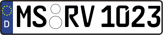 MS-RV1023
