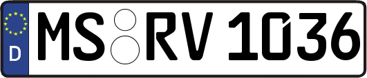 MS-RV1036