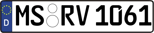 MS-RV1061