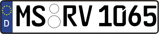 MS-RV1065