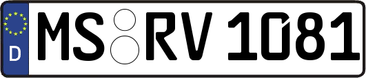 MS-RV1081