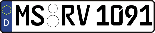 MS-RV1091
