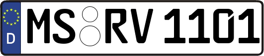 MS-RV1101
