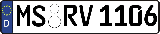 MS-RV1106