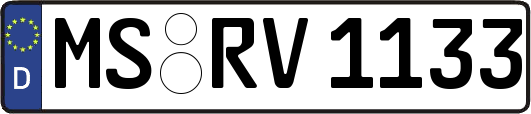 MS-RV1133