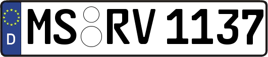 MS-RV1137