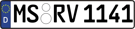 MS-RV1141