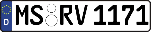 MS-RV1171
