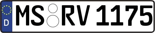 MS-RV1175
