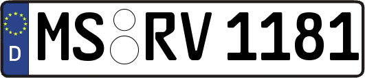 MS-RV1181