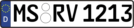 MS-RV1213