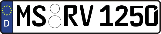 MS-RV1250