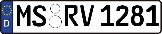 MS-RV1281