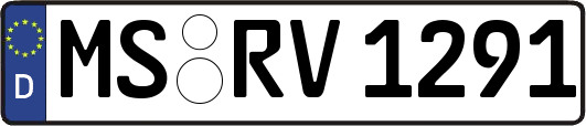 MS-RV1291