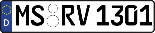 MS-RV1301