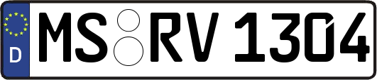 MS-RV1304