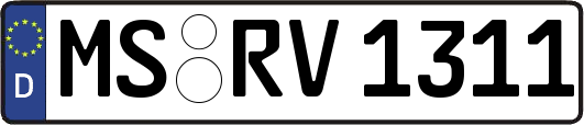 MS-RV1311