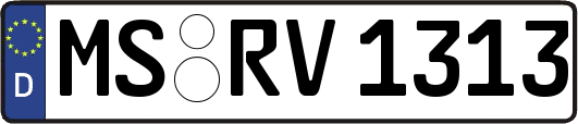 MS-RV1313