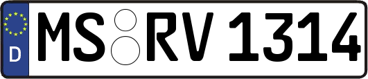 MS-RV1314