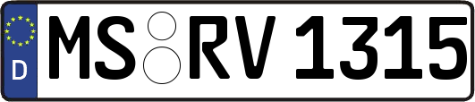 MS-RV1315
