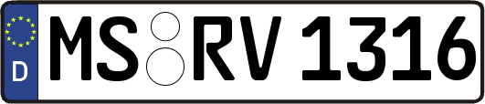 MS-RV1316