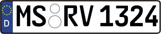 MS-RV1324
