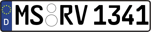 MS-RV1341