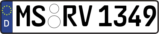 MS-RV1349