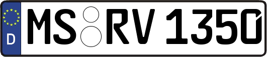 MS-RV1350