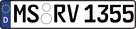 MS-RV1355