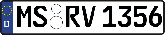 MS-RV1356