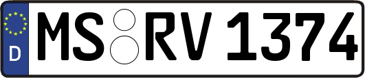 MS-RV1374