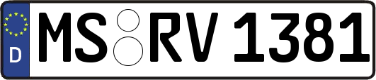 MS-RV1381