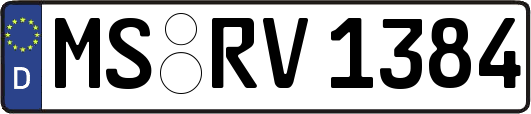 MS-RV1384
