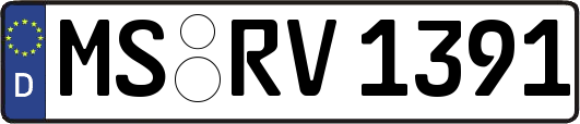 MS-RV1391